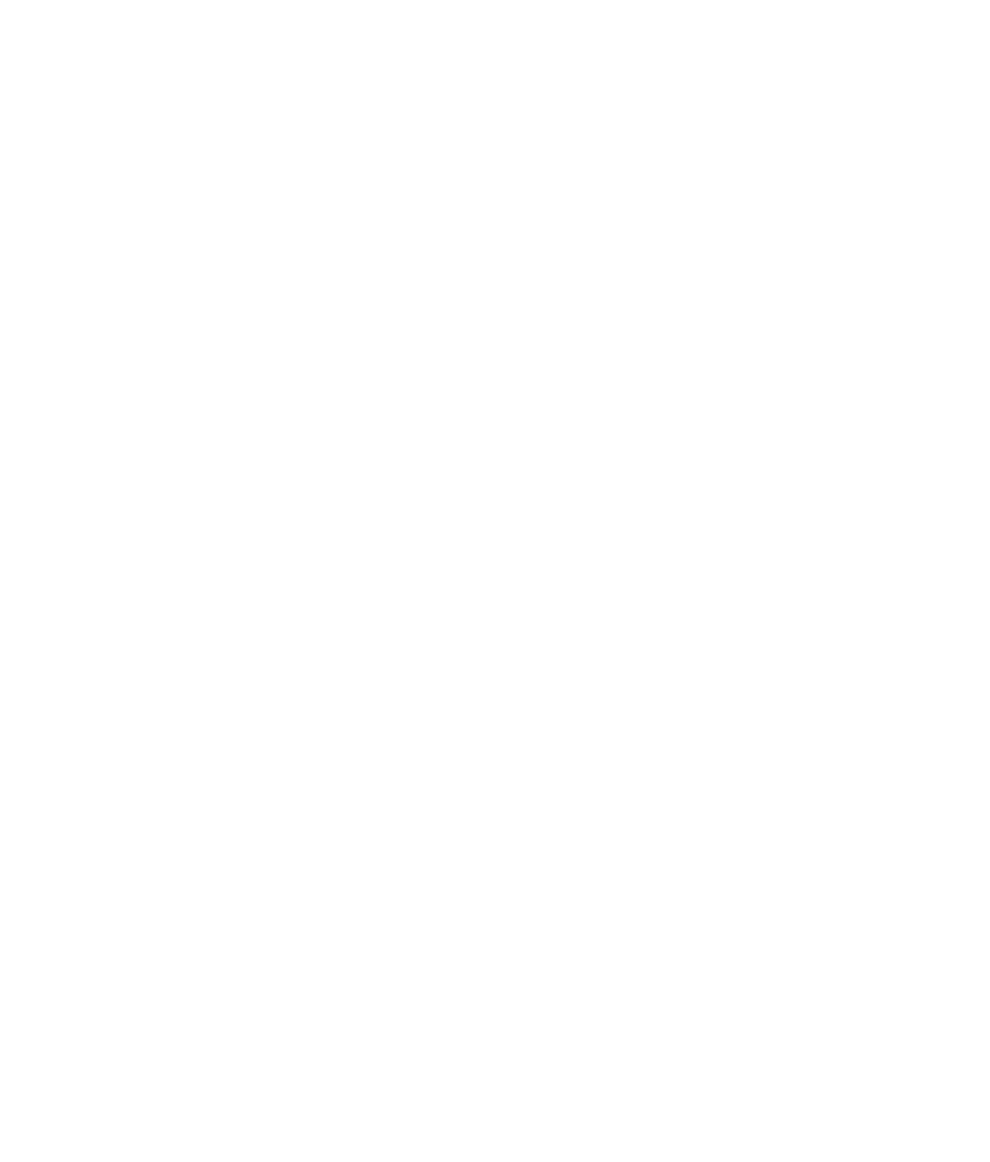 Minerva Cayman